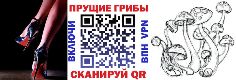 купить Холм Псилоцибиновые грибы мицелий